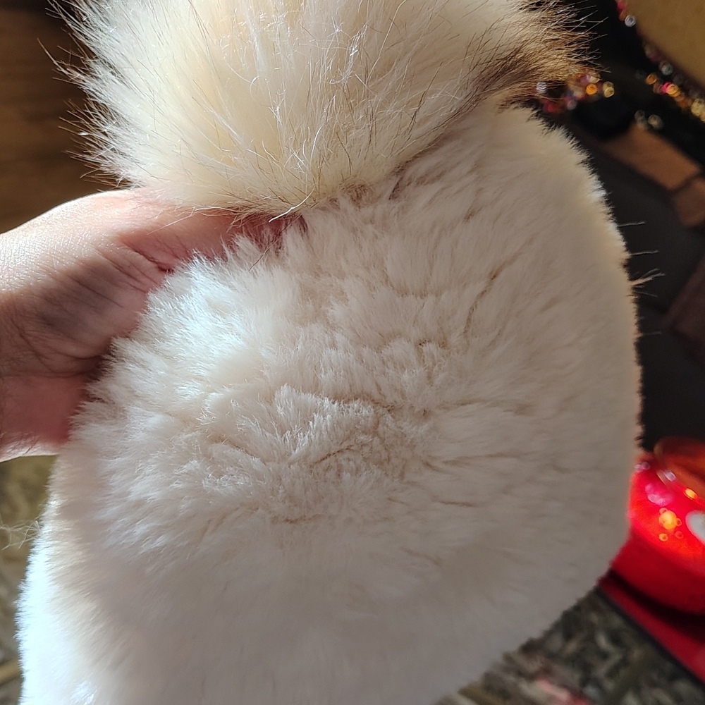 Winter Benny